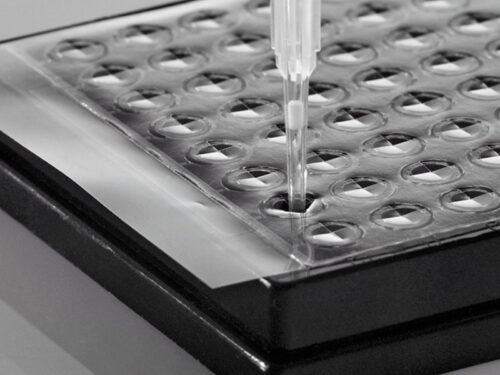 Pierceable Film Strong Adhesive, 96 Cross-Cut Windows