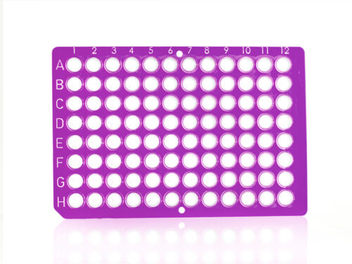 FrameStar® 96 Well Non-Skirted PCR Plate