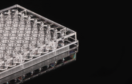 Tc-Treated 96 Well Flat Bottom Cell Culture Plates