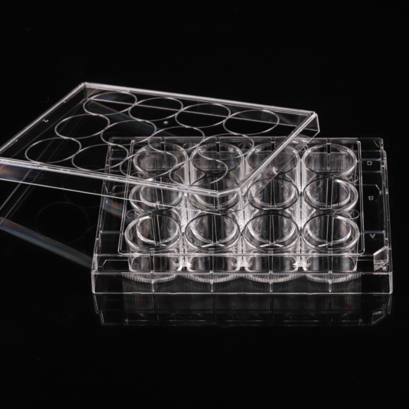 Plăci de cultură celulară cu 12 godeuri netratate - imagine 3