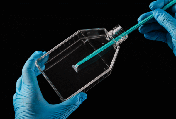 Nest Cell Scrapers Sterile - imagine 1