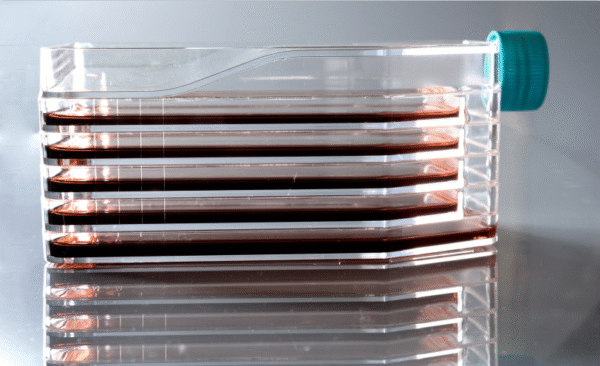 Multi-Layer 5-Layer Cell Culture Flask With Vent Cap - Image 2