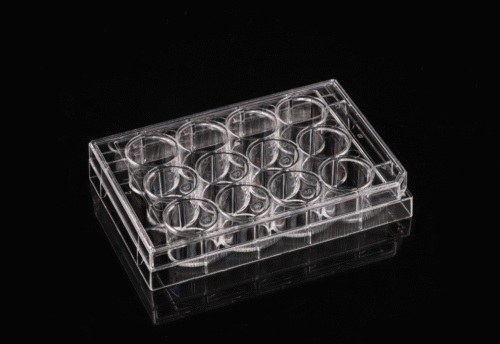 Tc-Treated 12 Well Cell Culture Plates