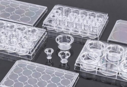 Pet Memberane Cell Culture Inserts For 6-Well Plates