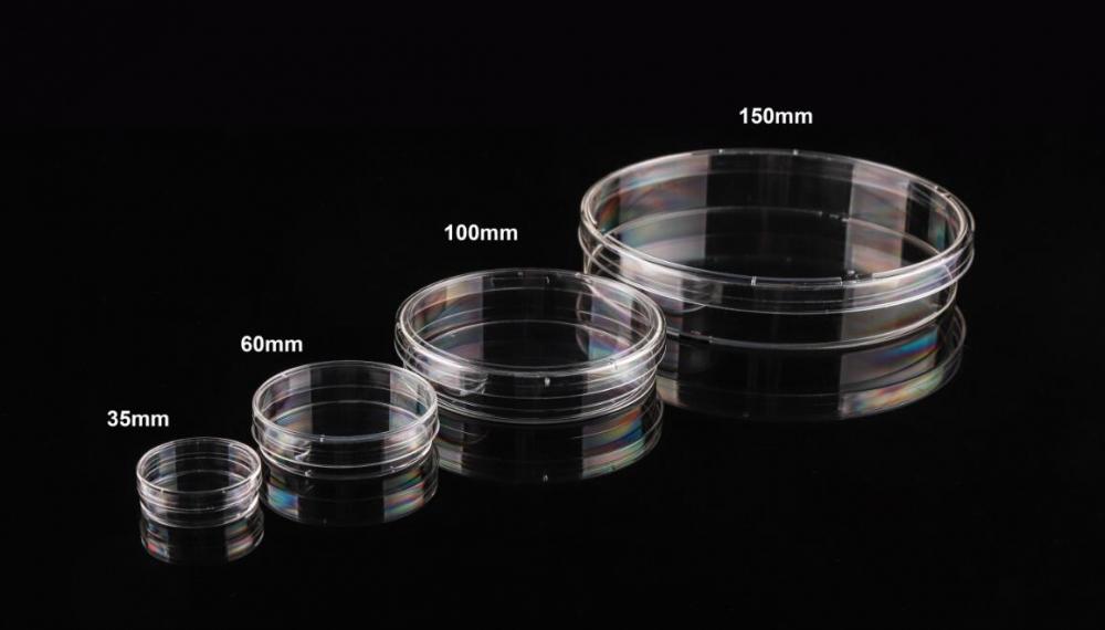 Vas de cultură celulară Nest