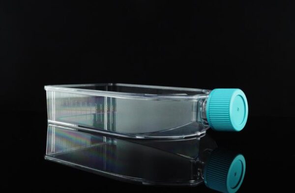 T150 U-Shaped Canted Cell Culture Flask - Image 2