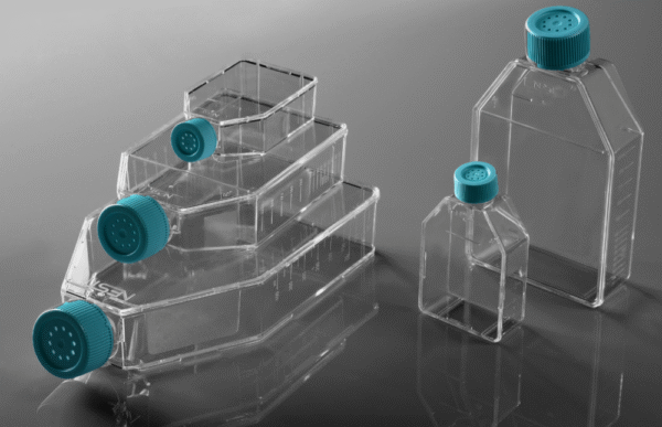 T75 Cell Culture Flasks For Adherent Cells - Image 1