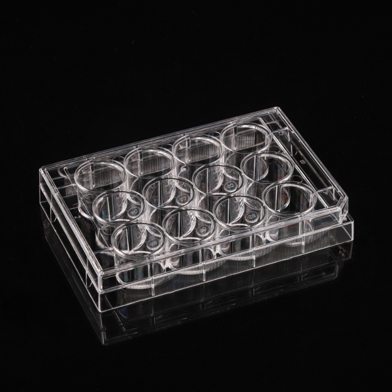 Plăci de cultură celulară cu 12 godeuri netratate