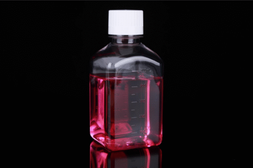 Sticlă de depozitare pătrată Petg 500ml