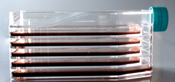 Multi-Layer 5-Layer Cell Culture Flask