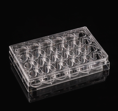 Plăci de cultură celulară cu 24 de godeuri tratate Tc