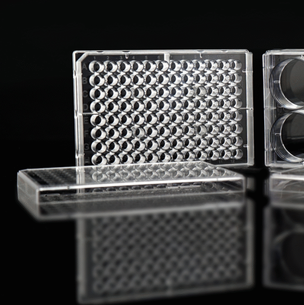 96 Well Edge Cell Culture Plates - Filara Biomed