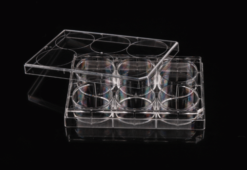 Plăci de cultură celulară cu 6 godeuri tratate Tc