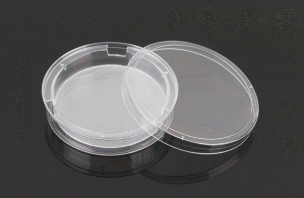 Insert-Cultură Celulară 100mm-Dish - imagine 1