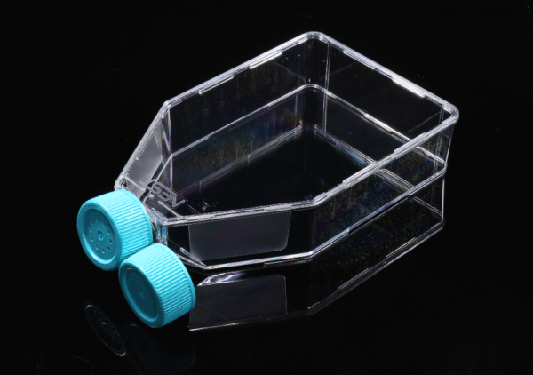 Flacoane de cultură celulară T175 pentru celule aderente - imagine 3