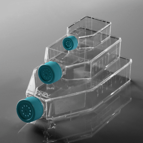 T175 Cell Culture Flasks For Adherent Cells