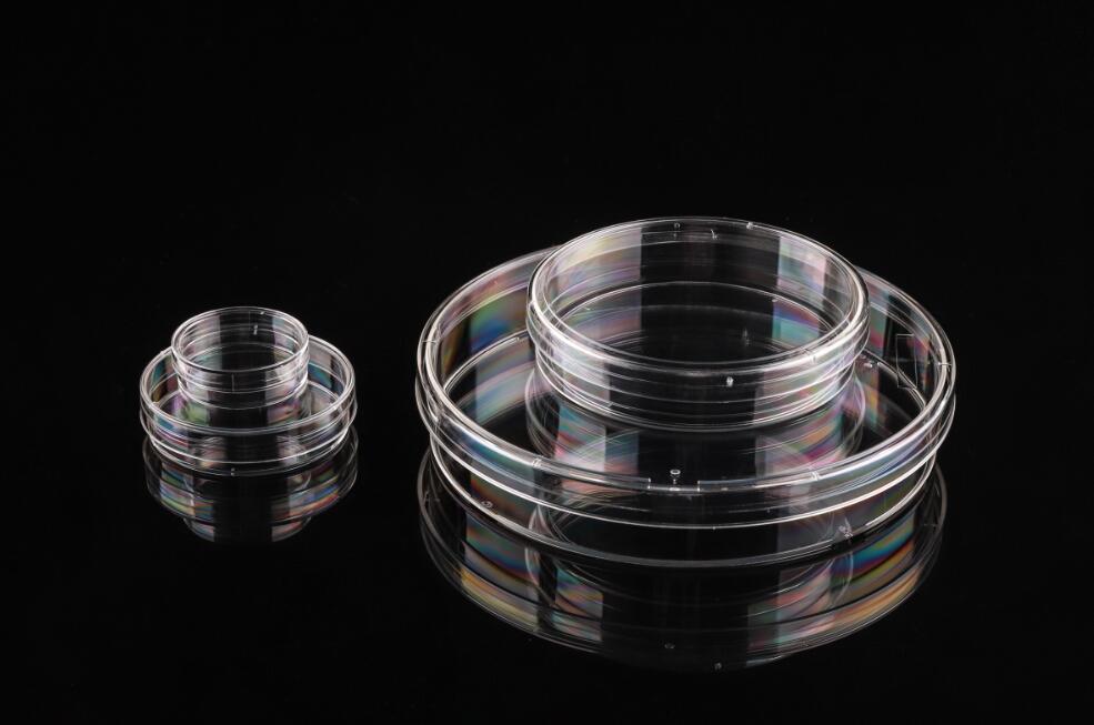 Vas de cultură celulară Nest - imagine 1