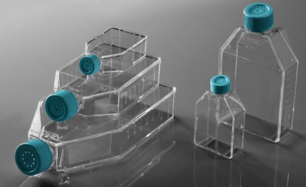 Nest Cell Culture Flask Sterile