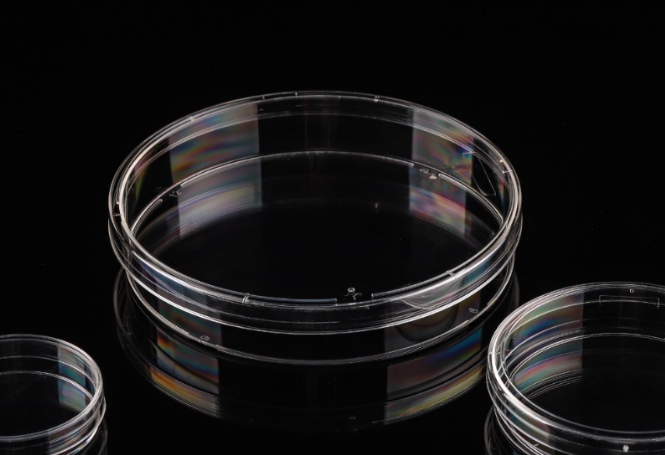 Vase de cultură celulară de 150 mm Laborator - imagine 3