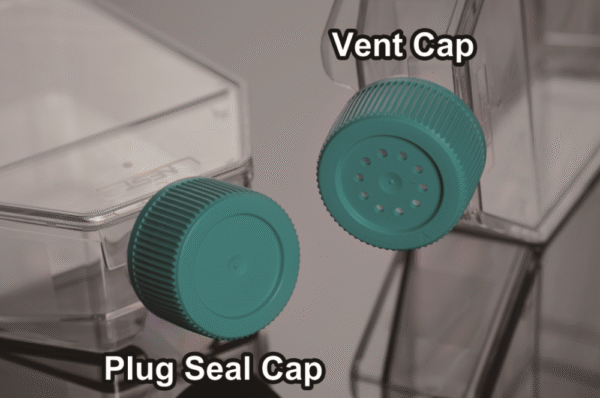 T75 Cell Culture Flasks For Adherent Cells - Image 2