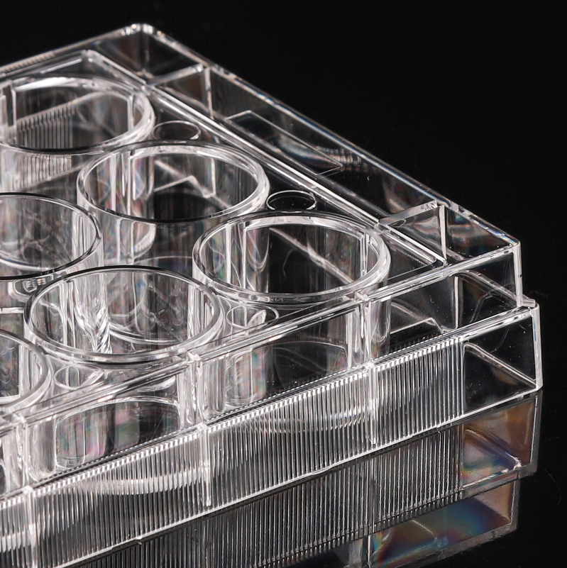 Plăci de cultură celulară cu 12 godeuri netratate - imagine 1