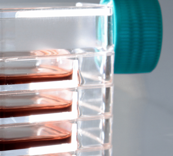 Multi-Layer 5-Layer Cell Culture Flask - Image 2