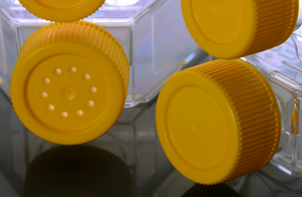 T225 Cell Culture Flasks For Suspension Cells - Image 1