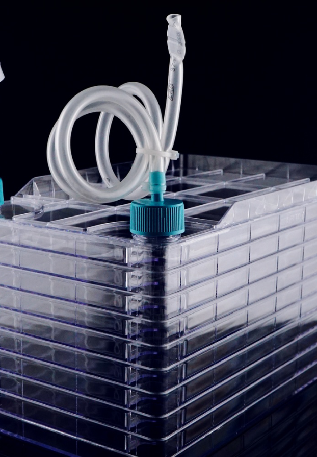 Adaptor biofabrică capac gură largă la furtun - imagine 1