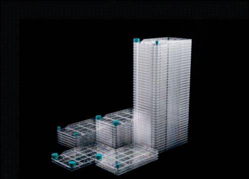 5 Camere de Cultură Biofactory™ cu 5 Straturi