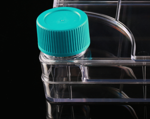 Camere de Cultură Biofactory™ cu 2 Straturi