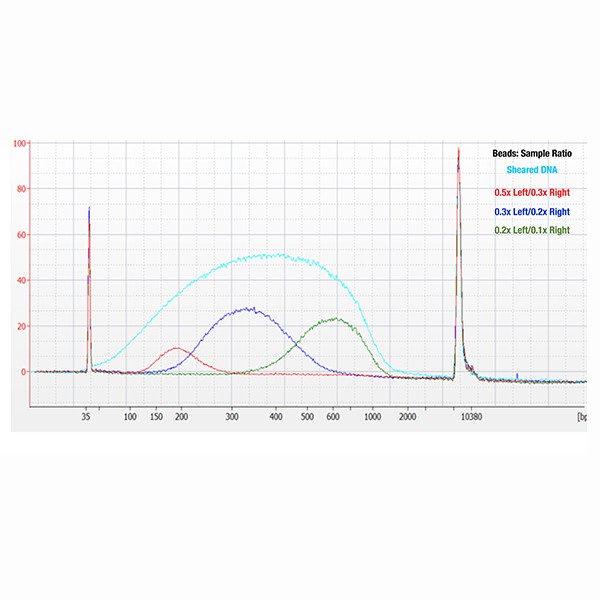 JetSeq™ Clean - Image 1