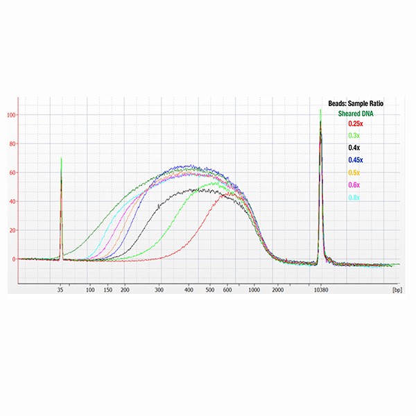 JetSeq™ Clean - Image 3