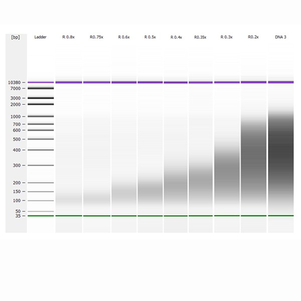 JetSeq™ Clean - Image 4