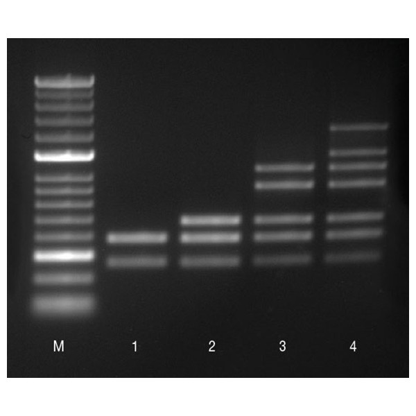 MyTaq™ HS Mix - Image 1