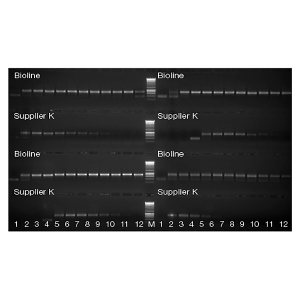 MyTaq™ Blood-PCR Kit