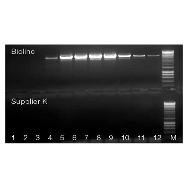 MyTaq™ Blood-PCR Kit - Image 3