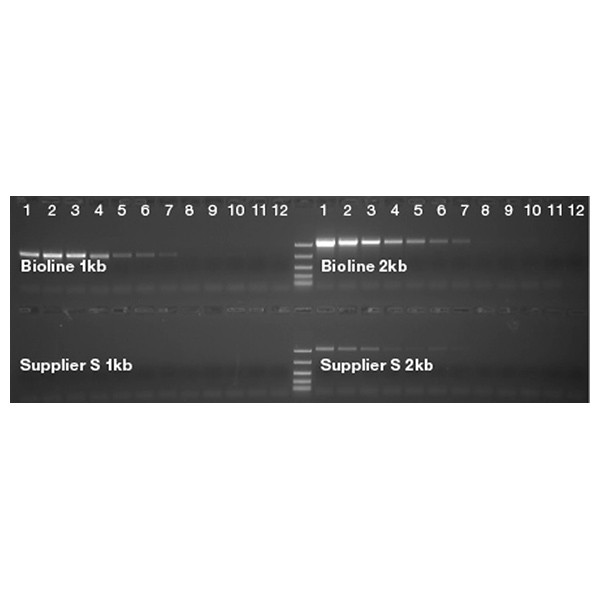 MyTaq™ Extract-PCR Kit - Image 1