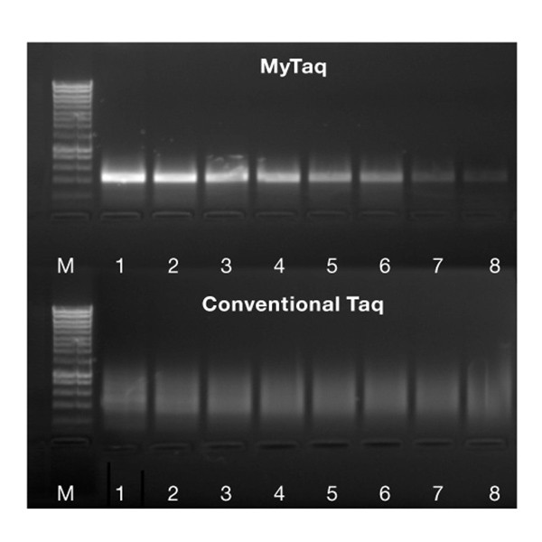 MyTaq™ Mix - Image 1
