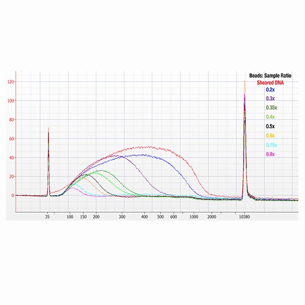 JetSeq™ Clean - Image 5