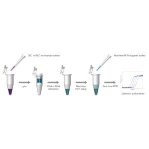 qPCR Extraction Control Red
