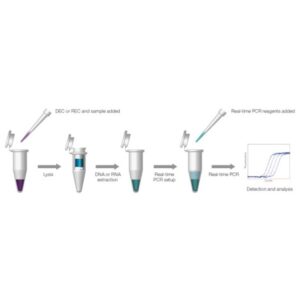 qPCR Extraction Control Orange